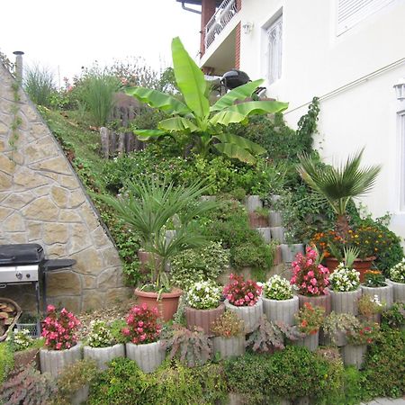 זלקרוס Rozsadomb Apartman מראה חיצוני תמונה